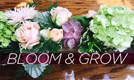 Bloom & Grow — The Best Flowers of the Season