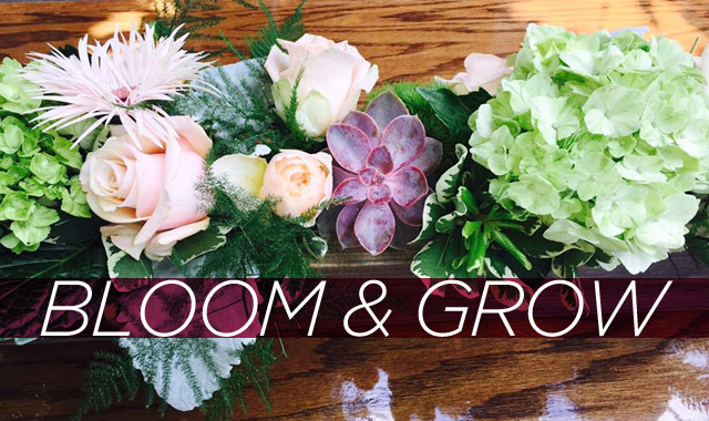 Bloom & Grow — The Best Flowers of the Season
