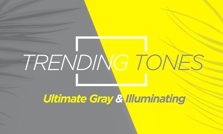 Trending Tones - Ultimate Gray & Illuminating