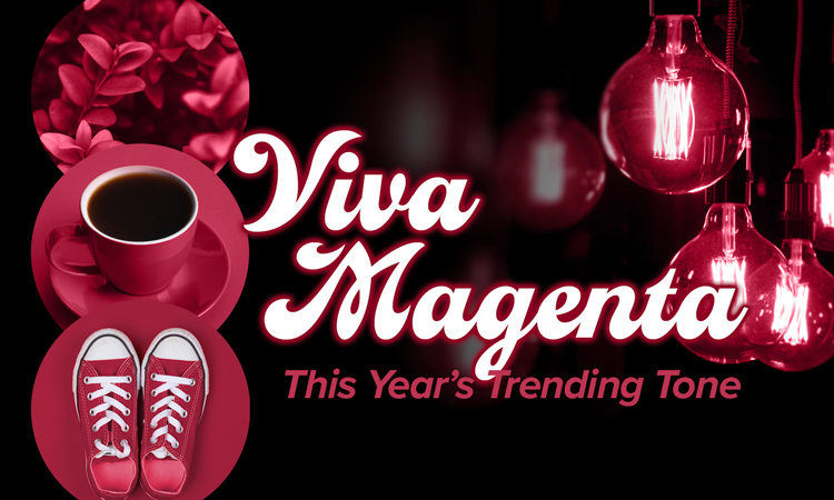 Viva Magenta – This Year’s Trending Tone
