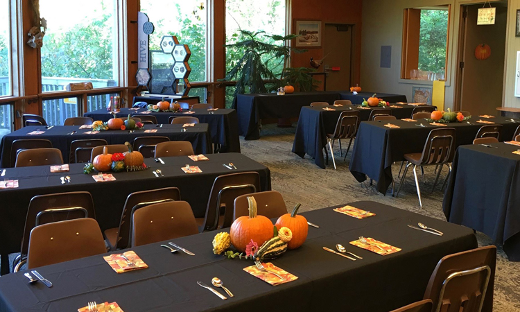 Harriet Alexander Nature Center Event Space