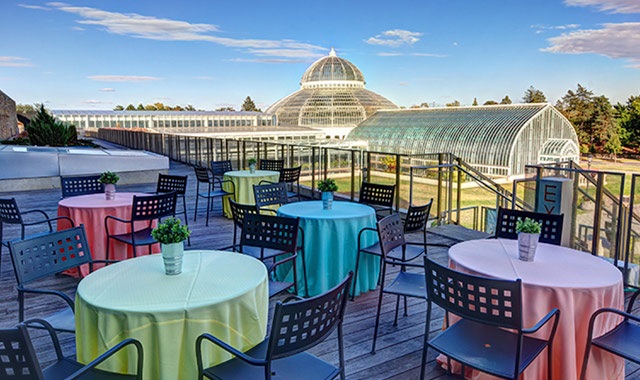 Como Park Zoo + Conservatory